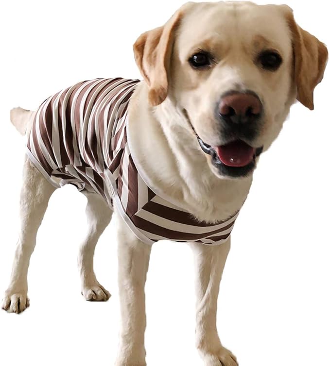 Dog’s Recovery Suit Post Surgery Shirt for Female Male Dog, E-Collar Alternative Wound Protective Clothes (Brown white-5xl)