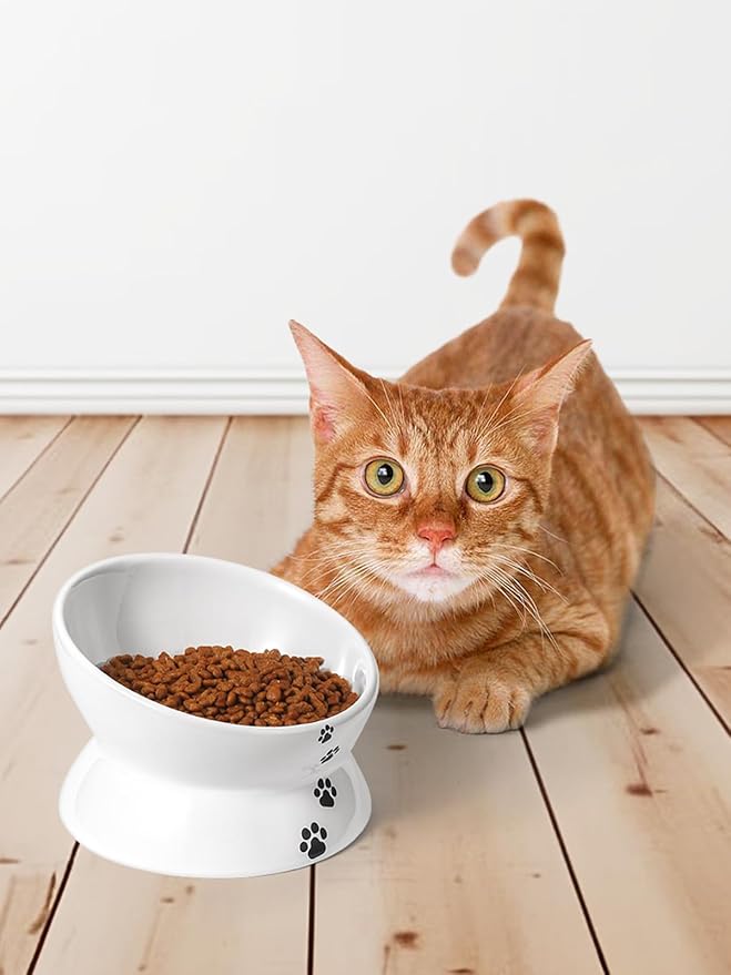 Y YHY Elevated Tilted Cat Bowl, Raised Pet Bowl for Adult Cats or Dogs, Ceramic Food Dish 10 oz, White
