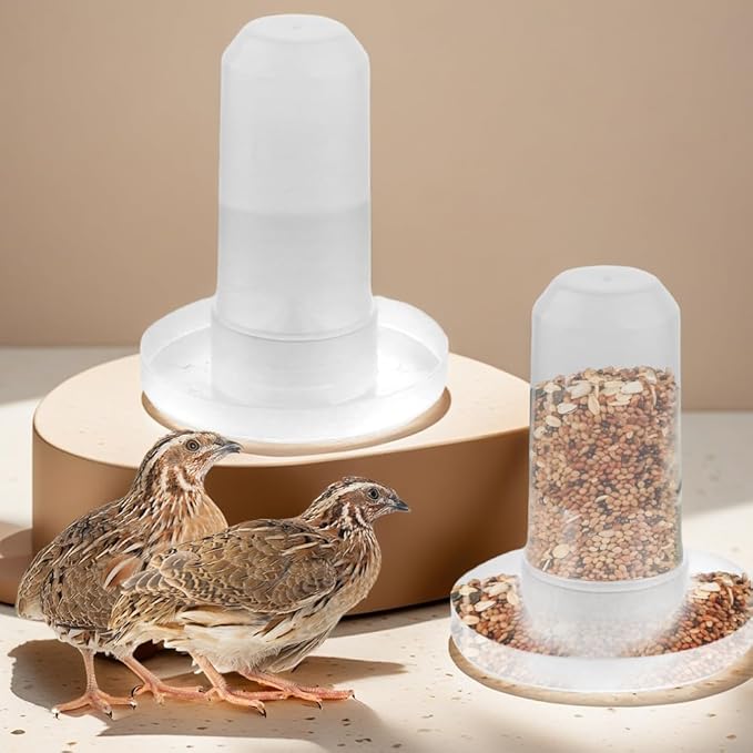 2 Pack Quail Plastic Food Feeder and Bird Water Dispenser Plastic for Quail Chick Parakeet Budgies Cockatiel Lovebird Small Birds (Transparent)