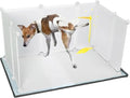 Dog Litter Box with High Walls,Indoor Dog Potty for Small to Medium Dogs,No Spill Pee Pad Holder Tray for Dogs Work with Most Training Pads and Easy to Clean.
