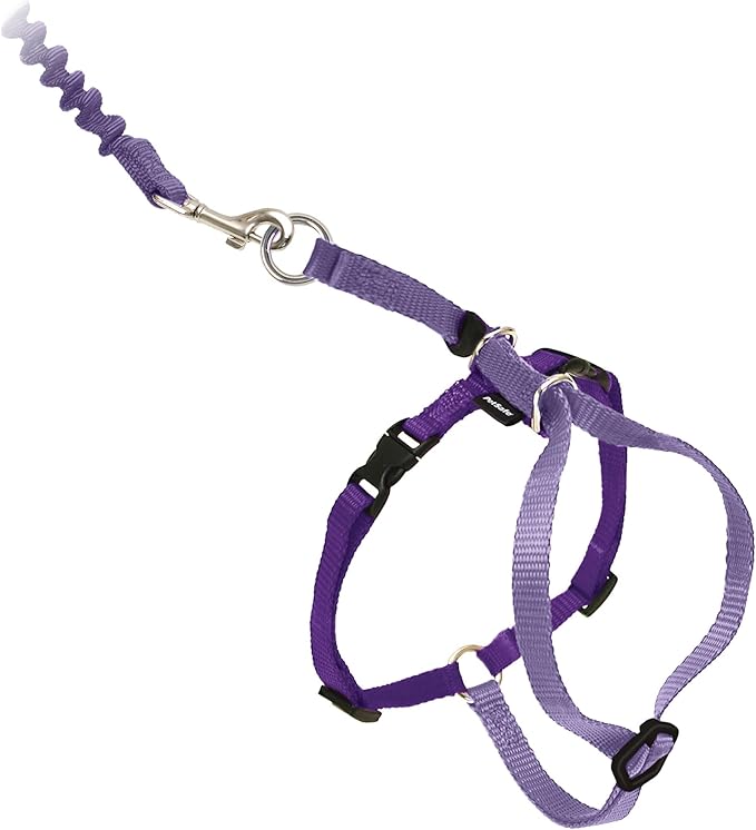 PetSafe Come With Me Kitty Cat Harness & Bungee Leash - Comfortable Cat Harness with Lightweight Bungee Leash for Outdoor Fun - More Secure Walks - Large - Lilac