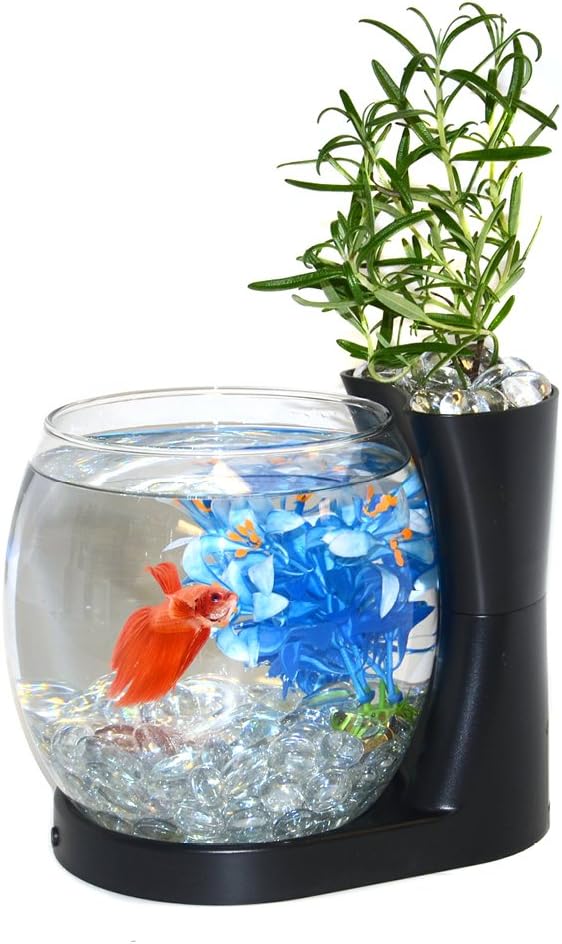 Elive Betta Fish Bowl / Betta Fish Tank with Planter, Small 0.75 Gallon Aquarium, LED Light Timer, Black