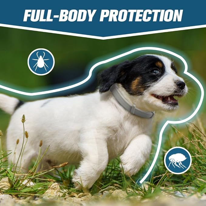 Flea Collar for Dogs, Flea and Tick Collar for Small Dogs, Dog Tick Collar, Dog Flea Collars, People/Pet/Plant Friendly - 2P