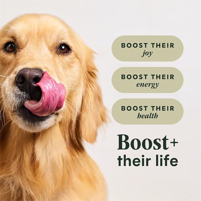 Instinct RawBoost, Natural Dry Dog Food with Freeze-Dried Pieces, High Protein, Grain-Free Recipe - Real Beef, 10 lb. Bag