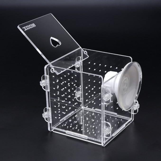 Fish Breeding Box Clear Acrylic Fish Isolation Boxes Aquarium Hatchery Incubator with Suction Cup for Newborn Shrimp
