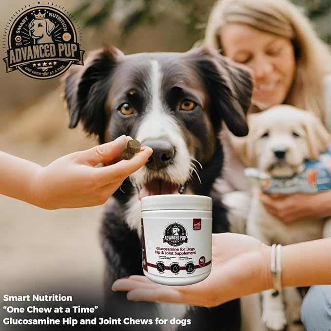 Hip and Joint Supplement - Natural Glucosamine Chondroitin MSM & Turmeric for Dogs - Dog Hip & Joint Care to Heal Dog Joint Stiffness & Inflammation - Tasty Bacon 90CT