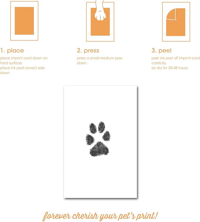 Pearhead Pet Pawprints Desk Picture Frame, Pet Memorial Keepsake, White Photo Frame For Pet, Imprint Kit