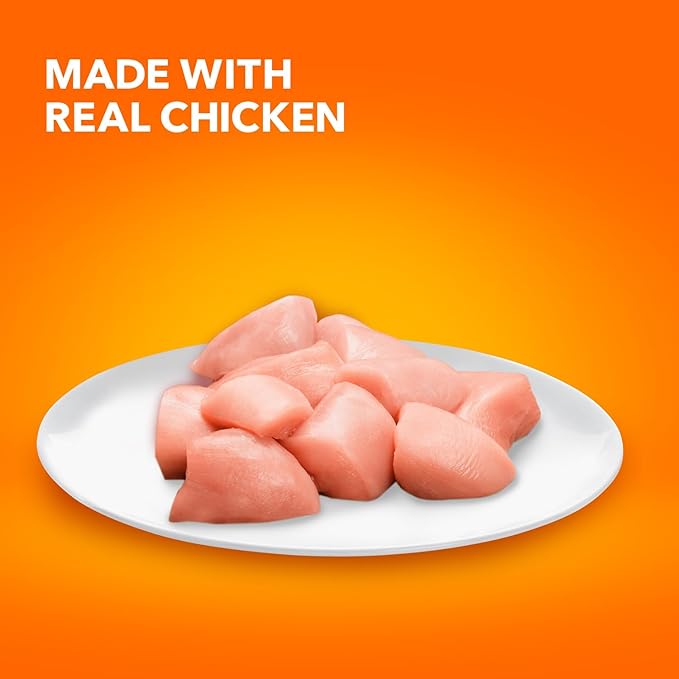 IAMS Proactive Health Senior Dry Cat Food, Cat Food Dry Chicken Recipe, Real Chicken in Every Bite, 3.5 Lb. Bag