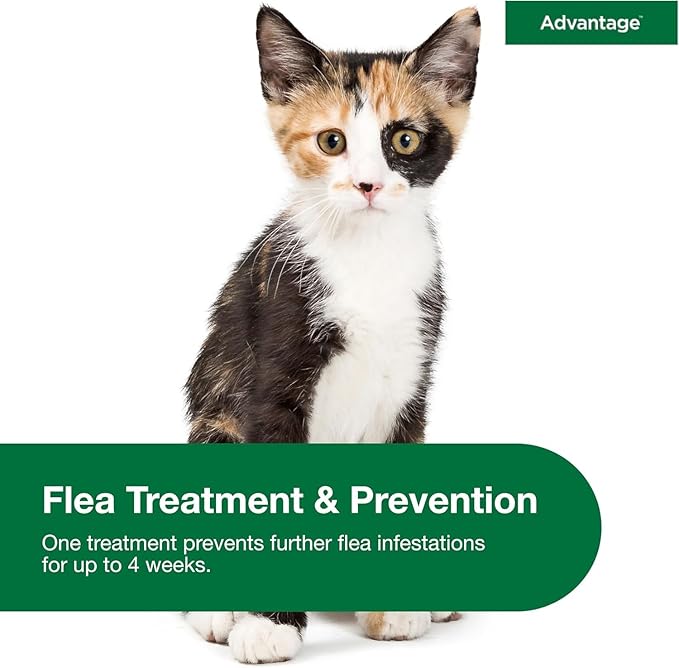 Bundle of Advantage Topical Cat Flea Treatment and Prevention for Small Cats 2-9 lbs. + Advantage Household Spot & Crevice Spray | Kills Fleas & Ticks & Bedbugs | 24 oz.