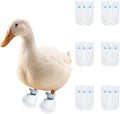 MANON ROSA Duck Shoes for Real Ducks Chickens 6-Pair Waterproof & Disposable Booties with Self-Adhesive Bandage for Waterfowl Wound Foot Care Bumblefoot (Dustproof Version,Small)