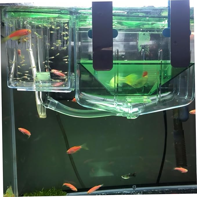 Luxshiny Fish Breeding Isolation Box Transparent Acrylic Incubator Tank for Aquarium Protecting and Small Fish from Aggressive Adults Enhances Survival Rates
