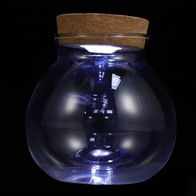 Ecological Bottle with Led Light 5.51In Transparent Glass Fish Tank Micro Landscape Aquarium Desktop Aquatic for Home Decor