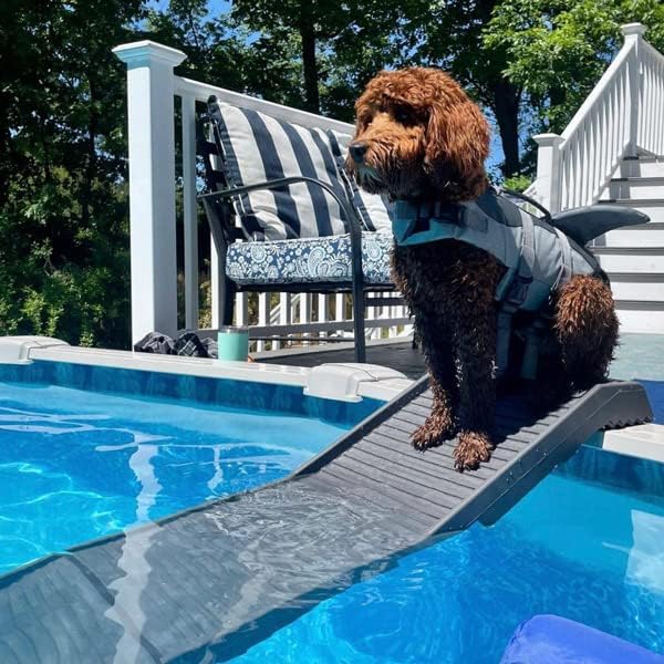 PetStep Pool Ramp for Dogs - (Standard Legs, Graphite/Gray) - Small and Large Dog Pool Ramp for Above-Ground and In-Ground Pools