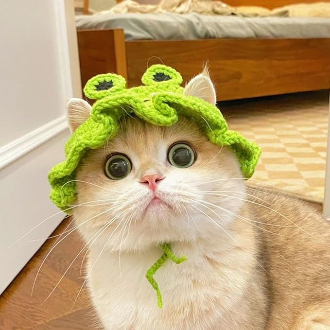 1 PCS Cat Hat Cute Frog Shape Pet Cap Halloween Cat Kitten Halloween Costumes Birthday Hat for Christmas Birthday(M)