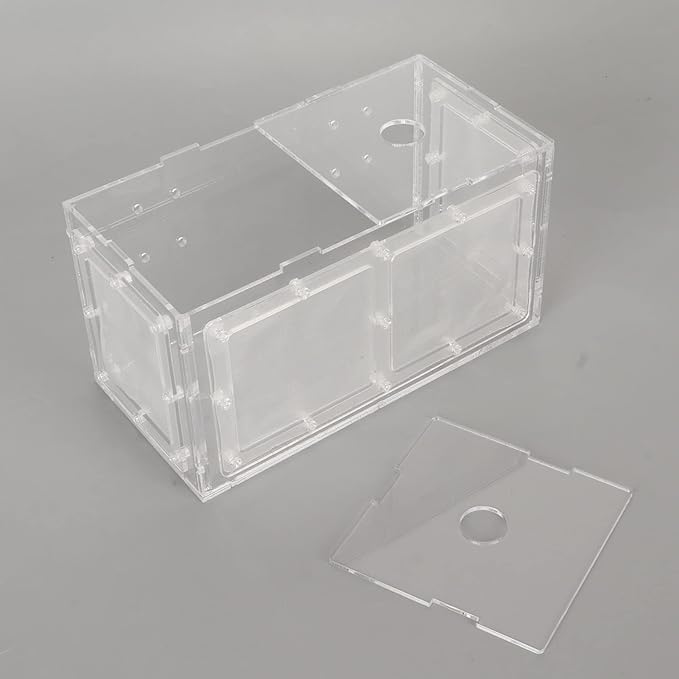 Fish Breeding Isolation Box | Transparent Mesh Side Aquarium Incubator | Guard Small Fish/Eggs | Acrylic Lid & Adjustable Hook | for Fish Tank Hatching (20 * 10 * 11CM)