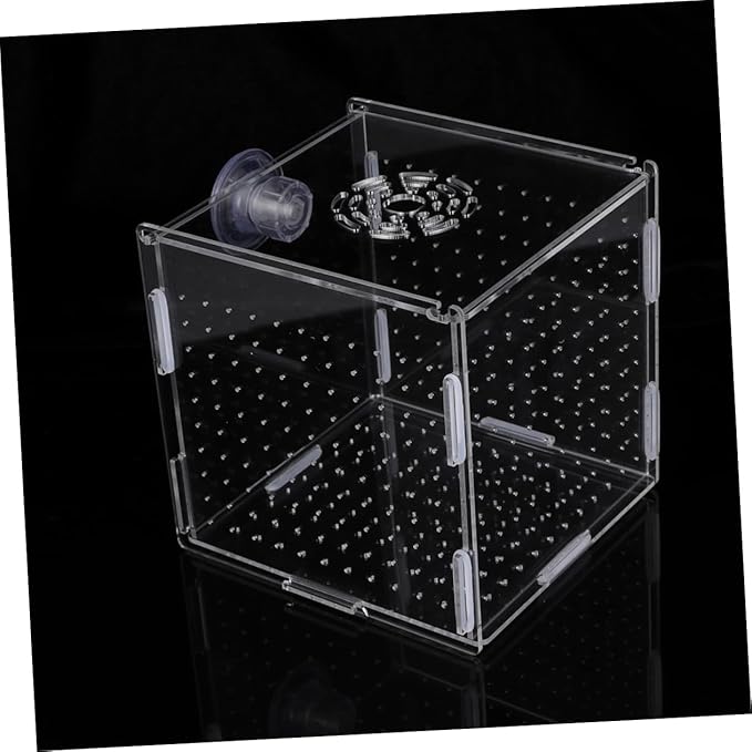 Modern Fish Tank Isolation Box Acrylic Fish Breeding Tank for Betta Guppy Suction Cups and Divider
