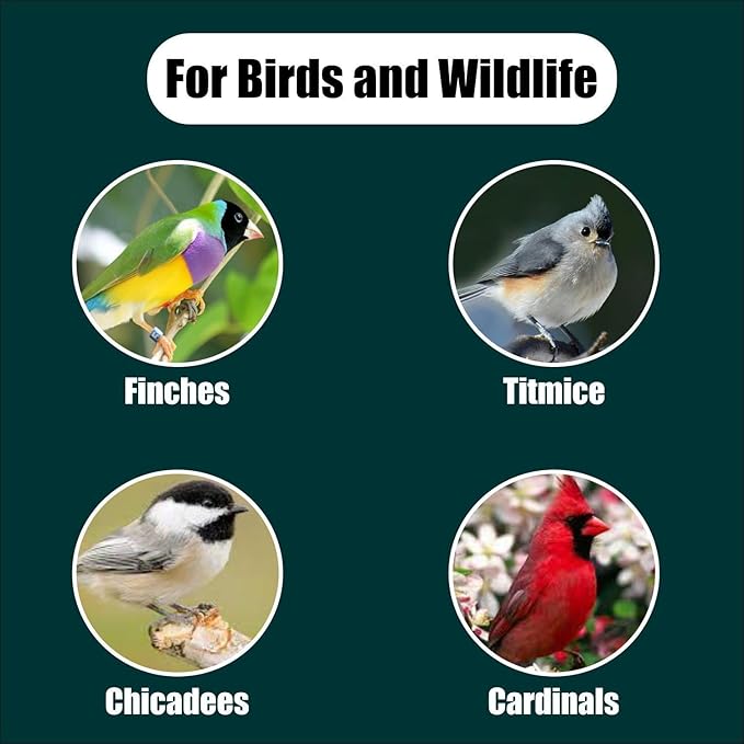 Old Potters Wildlife Black Oil Sunflower Seeds for Birds and Wildlife, Non-GMO & USA Grown on Small Farms (6 lbs)
