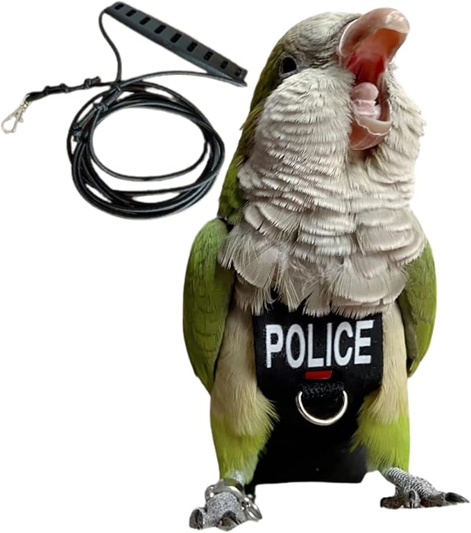 Bird Diaper Harness Flight Suit Clothes, Parrot Flight Suit with Leash for Parrot, Bird Flying Clothes with Rope and Handle for Outdoor Activities Training (with Leash - Small)