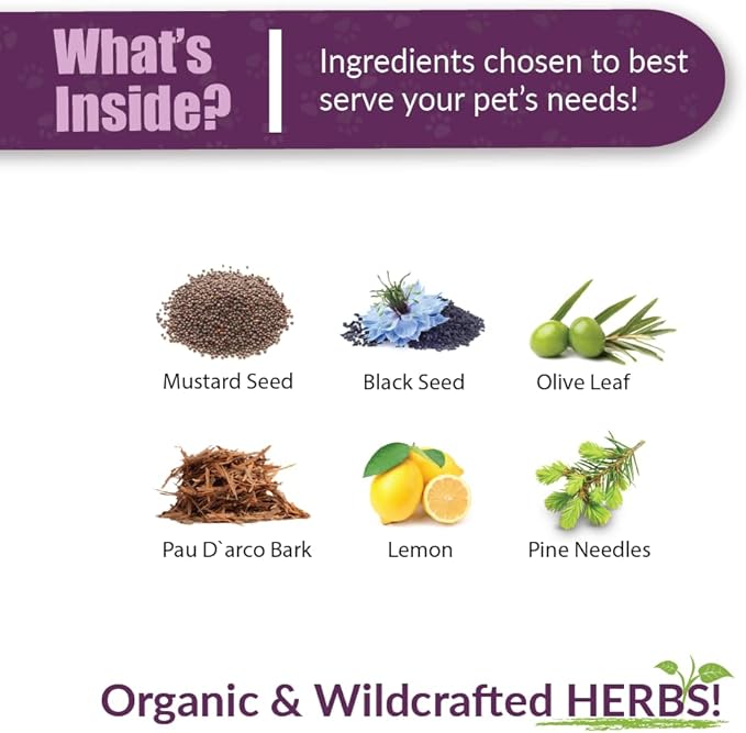 Amber NaturalZ UTR Urinary Tract Herbal Supplement for Dogs, Cats, Birds, Guinea Pigs, and Rabbits | Pet Herbal Supplement for Bladder Support | 1 Fluid Ounce Glass Bottle | Manufactured in The USA
