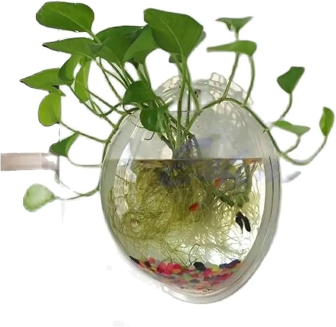 Wall-Mounted Acrylic Fish Bowl - Transparent Hanging Fish Tank & Planter for Home and Office Decor(Transparent)