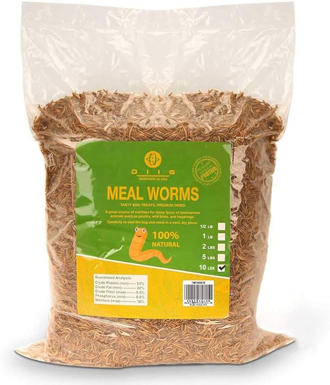 DIIG 10LB 100% Natural Non GMO Dried Mealworms - High Protein Treats for Birds Chickens, Ducks