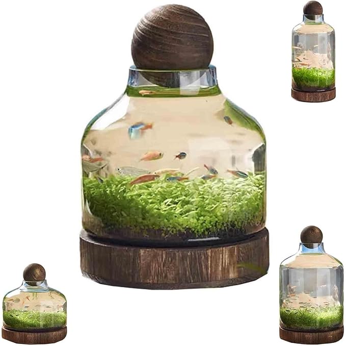 Ecological Aquarium Glass Fish Tank with Wooden Base Micro Landscape Self-circulating Hydroponic Plant Bottle Fish Bowl/Vase(S, A)
