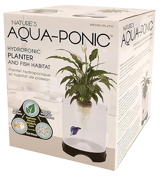 Penn-Plax Aquaponic Planter and Aquarium for Betta Fish | Tank Promotes Healthy Hydroponic Environment for Plants and Fish