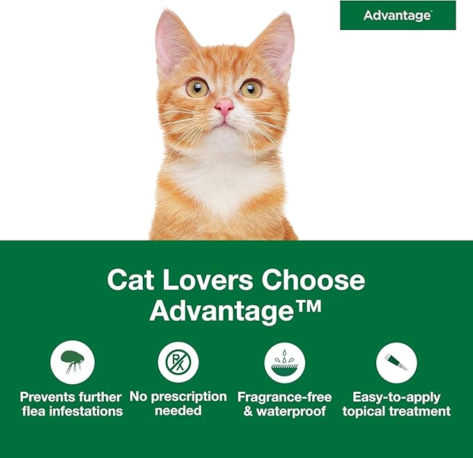 Bundle of Advantage Topical Cat Flea Treatment and Prevention for Small Cats 2-9 lbs. + Advantage Household Spot & Crevice Spray | Kills Fleas & Ticks & Bedbugs | 24 oz.