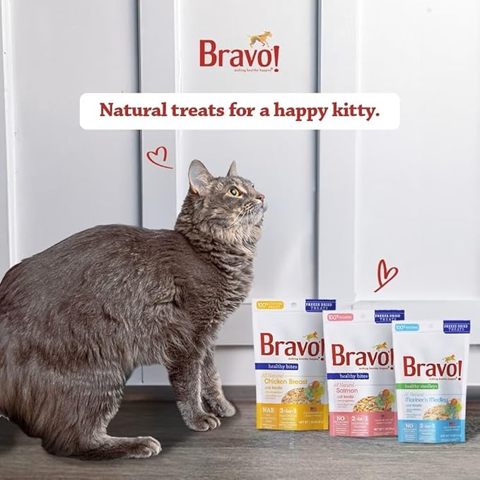 Bravo! Healthy Bites Single Ingredient Freeze Dried Raw Cat Treats, Chicken Breast, 1.5 Ounce, High Protein, Grain Free, Gluten Free