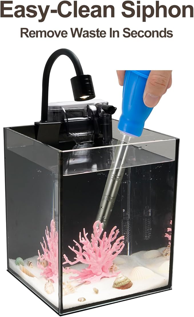 DIY Aquarium Masterpiece Kit - Create Your Own Unique Ocean Aquascape with Natural Shells, Vibrant Corals, RGB Color Lights, Filter, Pump and 1.2Gal Cube Rimless Tank