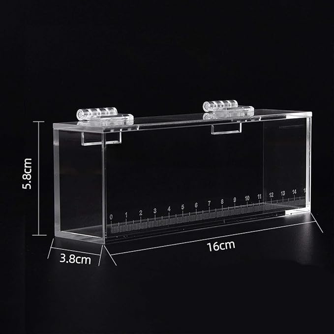 Fish Watching Box Fishing Photo Tank Hatchery Incubator Acrylic Portable Storage Box Fish Egg Breeding Case Isolation Breeder Box Photo Box, L