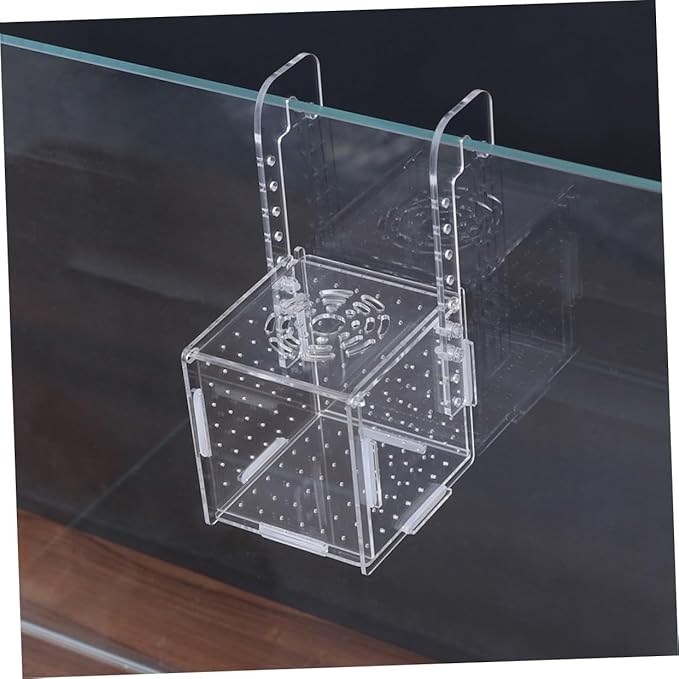 BESPORTBLE 2pcs Fish Tank Breeding Isolation Box Transparent Aquarium Incubator Fish Holder Hook Easy to Clean Safe for Breeding Improves Juvenile Survival Rate