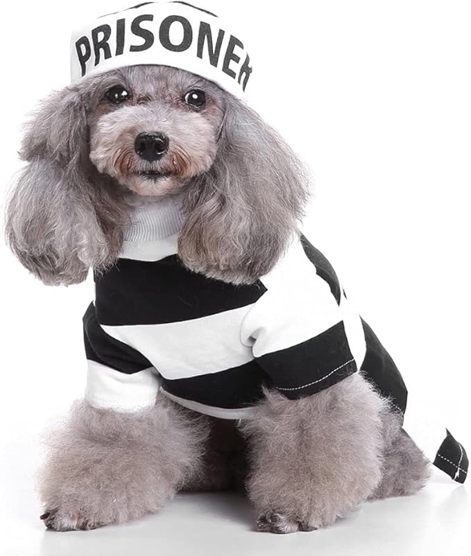 Halloween Fancy Prisoners Dogs Cats Warm Costumes with Hat for Teddy, Pug, Chihuahua, Shih Tzu, Yorkshire Terriers, Papillon D-Black/White L