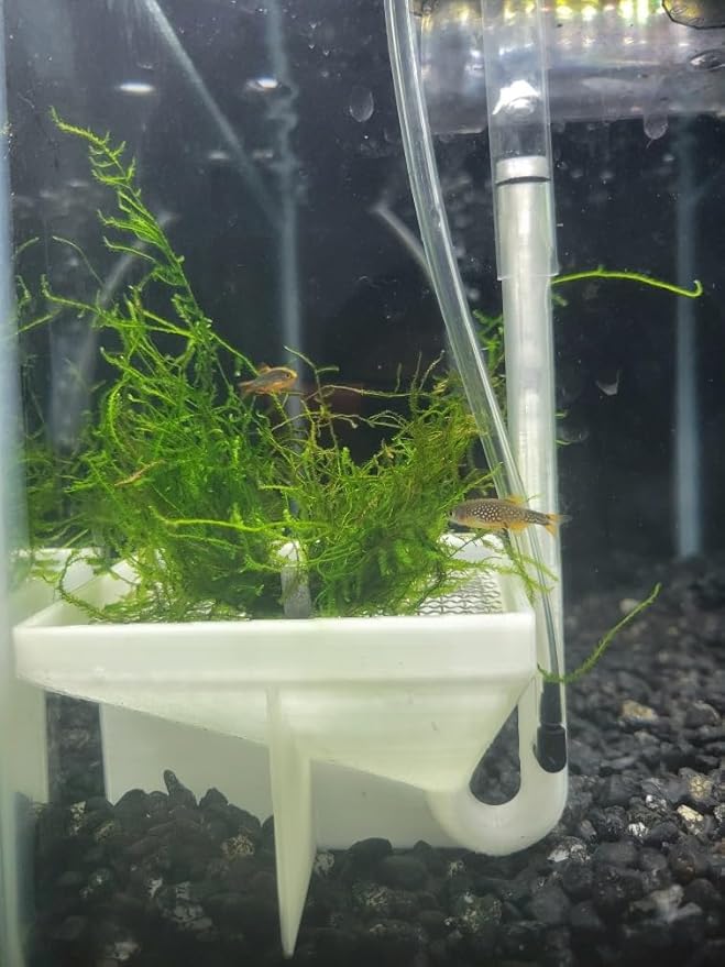 Hatchery Box Accessories for Fluval | Fish Egg Collector | Suitable for Egg-Laying Fish breeding | Bottom Grid Design | Can be Used with Sphagnum Moss | Viewing Window