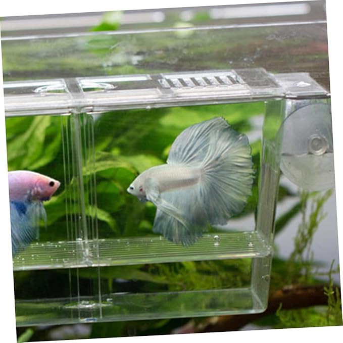 Happyyami Aquarium Incubation Box Fish Fry Breeding Tank Isolation Box Suction Cup for Freshwater Fish