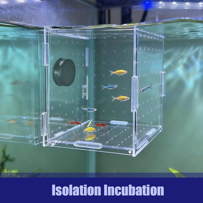 Aquarium Breeding Box,Magnetic Fixation Acrylic Fish Tank Isolation Box with Feeding Hole for Fish Hatching Rearing