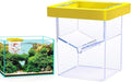 Fish Tank Breeder Box – Suction Cup Isolation Container | Divider Hatchery Unit for Acclimating Raising Fry, Aquarium Setup Accessory for Separating Injured or Aggressive Aquatic Species