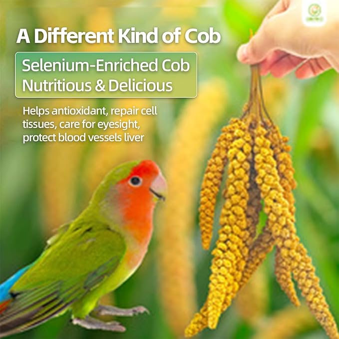 MANON ROSA Spray Millet for Birds - Premium Selenium-Enriched Treats and Chewing Toy, 3.5 Ounce for Parrots Parakeets Lovebirds Finches Budgies Canaries Cockatoos Cockatiels