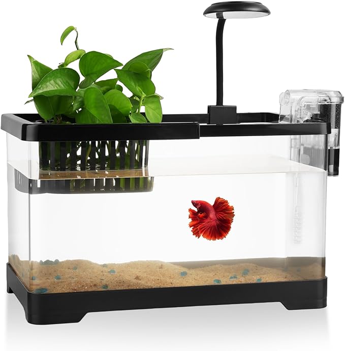 1.8 Gallon Beta Fish Tank Aquariums Kits - Clear Small Fish Bowl Starter Kit with LED Light, Water Filter Pump, Hydroponic Basket - Beginner's Gift for Guppy Shrimp Goldfish, Rectangular