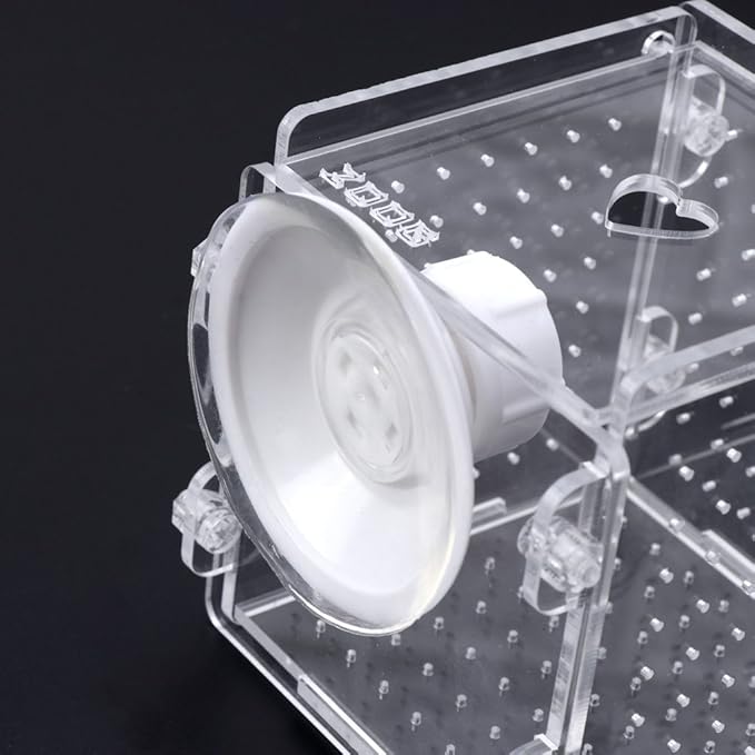 Fish for Tank Hatchery Incubator Aquarium Breeding Box Acrylic Breeder Isolation Hatching Boxes with Suction Cup on Large Net Mesh Aquarium Small Floating Large Mesh