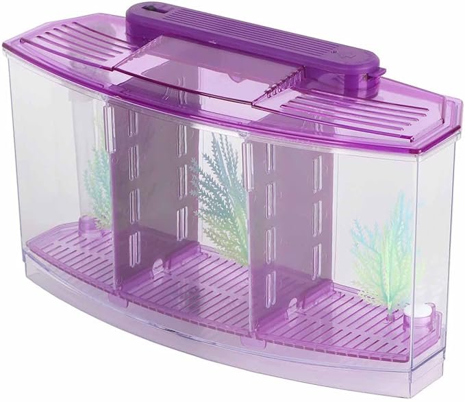 Rengue Fish Breeder Box for Aquarium TripleChamber Fish Breeder Box for Aquarium, Transparent LED Acrylic Small Fishes Breeding Isolation for, Transparent LED Acrylic (Purple)