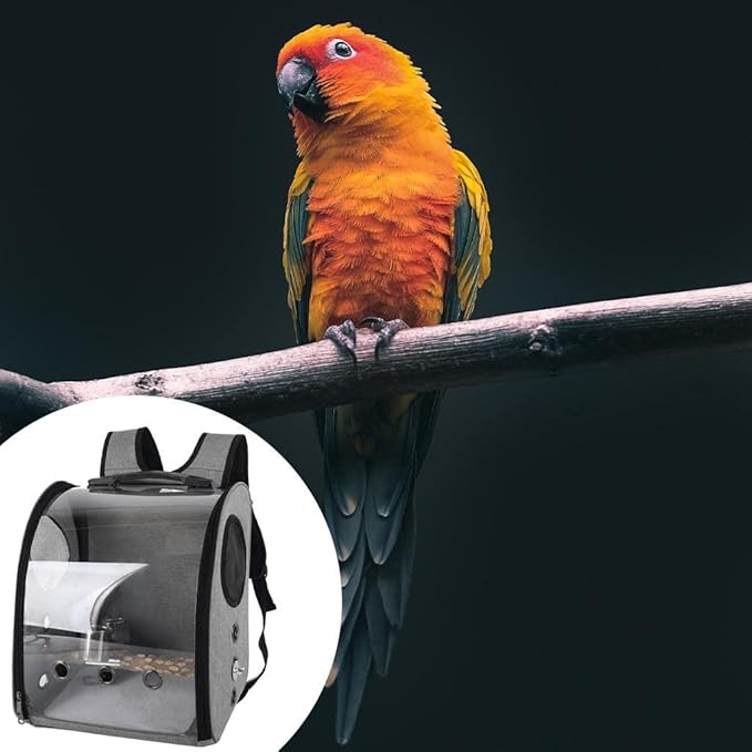 Compact Carrier for Birds with Clear View and Travel Features, Gray