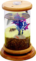 Creative Manual Rotating Glass Fish Tank with Colorful Remote Control lampSuper Large Glass Cylinder (Diameter 10 cm, Height 20 cm)