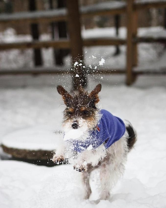 Gooby - Stretch Fleece Vest, Pullover Fleece Vest Jacket Sweater for Dogs, Violet, X-Small