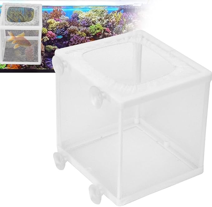 Aquarium Breeder Box with Suction Cups Partition Design Detachable Isolation Hatchery for Fish Fry Tank Breeding(S)