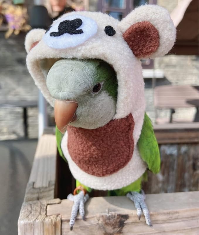 Bird Costume Bird Diaper Flight Suit Bird Bear Shape Bird Clothes Cosplay Photo Prop for Parrots Lovebird Parakeet Cockatiel Small Animals Apparel (Without Diaper,Senegal)