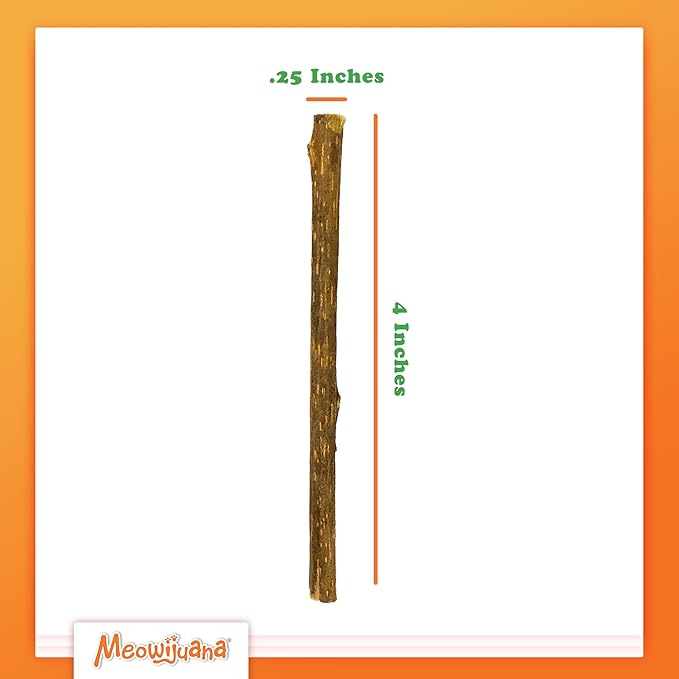 Meowijuana Silvervine Sticks | 4” Chew Sticks for Cats | Promote Healthy Chewing Habits and Dental Health | Freshly Harvested from Silverine Plants