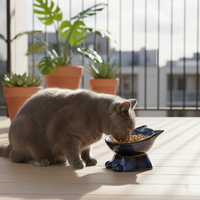 Nihow Slanted Elevated Cat Bowls: 5 Inch Ceramic Raised Cat Food Bowl for Protecting Pet's Spine - Microwave & Dishwasher Safe -Elegant Blue & Black (4.5 OZ /1 PC)