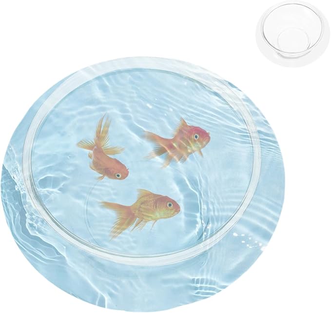 SUPVOX Glass Fish Bowl Round Aquarium Planter 5.90In Clear Hydroponic Vase Terrarium Container for Home Wedding Office Decor