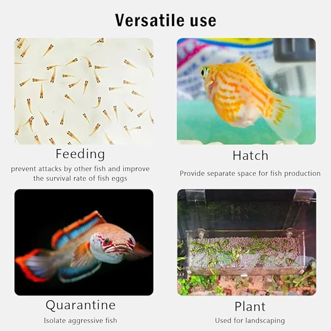 La La Pet®Adjustable Hanging Aquarium Plant Holder Acrylic Breeder Box for Fish Tank Transparent Hatching Incubator Box Isolation Box for Small Fish Small